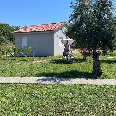 Ktima Mimoza Apartment Sykia Chalkidikis Luaran gambar