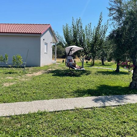 Ktima Mimoza Apartment Sykia Chalkidikis Luaran gambar