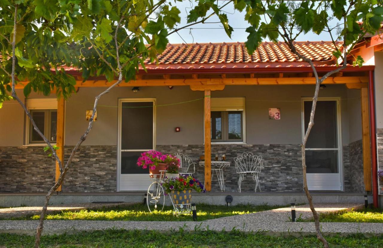 Ktima Mimoza Apartment Sykia Chalkidikis Luaran gambar