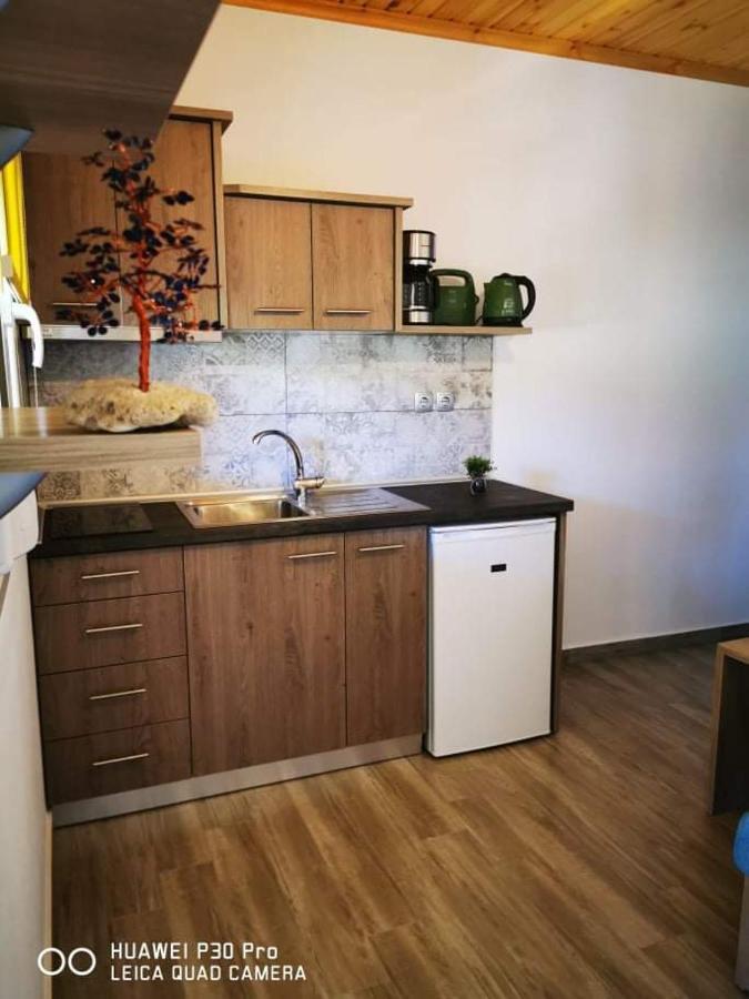 Ktima Mimoza Apartment Sykia Chalkidikis Luaran gambar