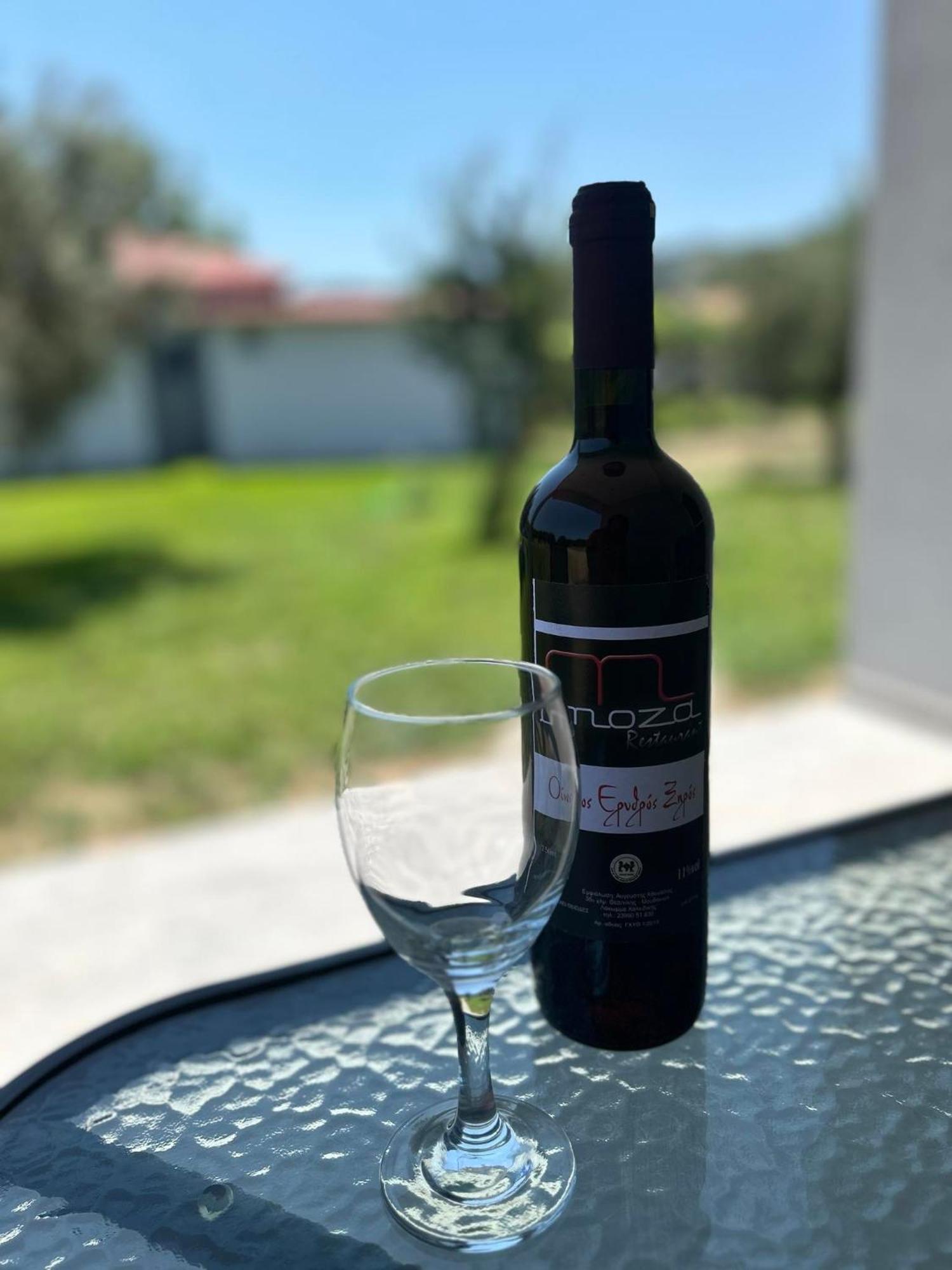 Ktima Mimoza Apartment Sykia Chalkidikis Luaran gambar